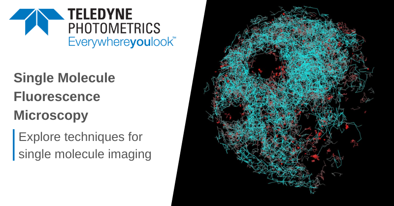 Single Molecule Imaging Learn Teledyne Photometrics