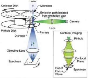 Yokogawa Spinning Disk