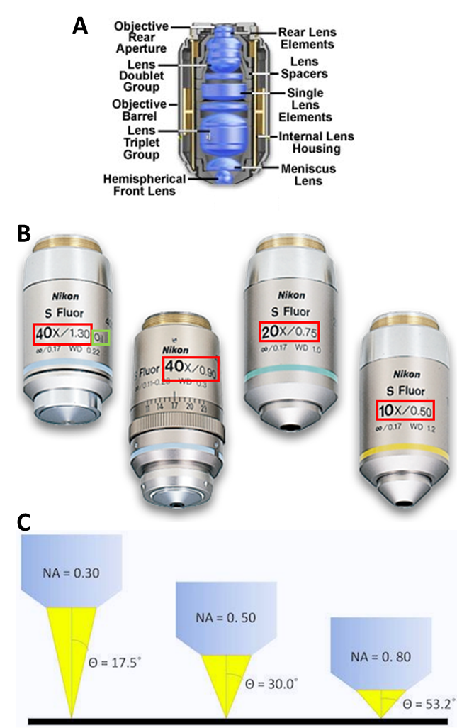 Objective Lens Types at sarahdclarko blog