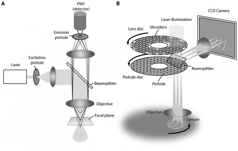 Introduction to Spinning Disk Confocal Microscopy