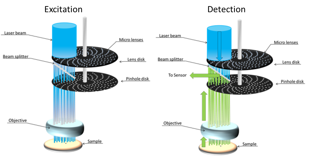 Super Resolution Spinning Disk Confocal Microscopy