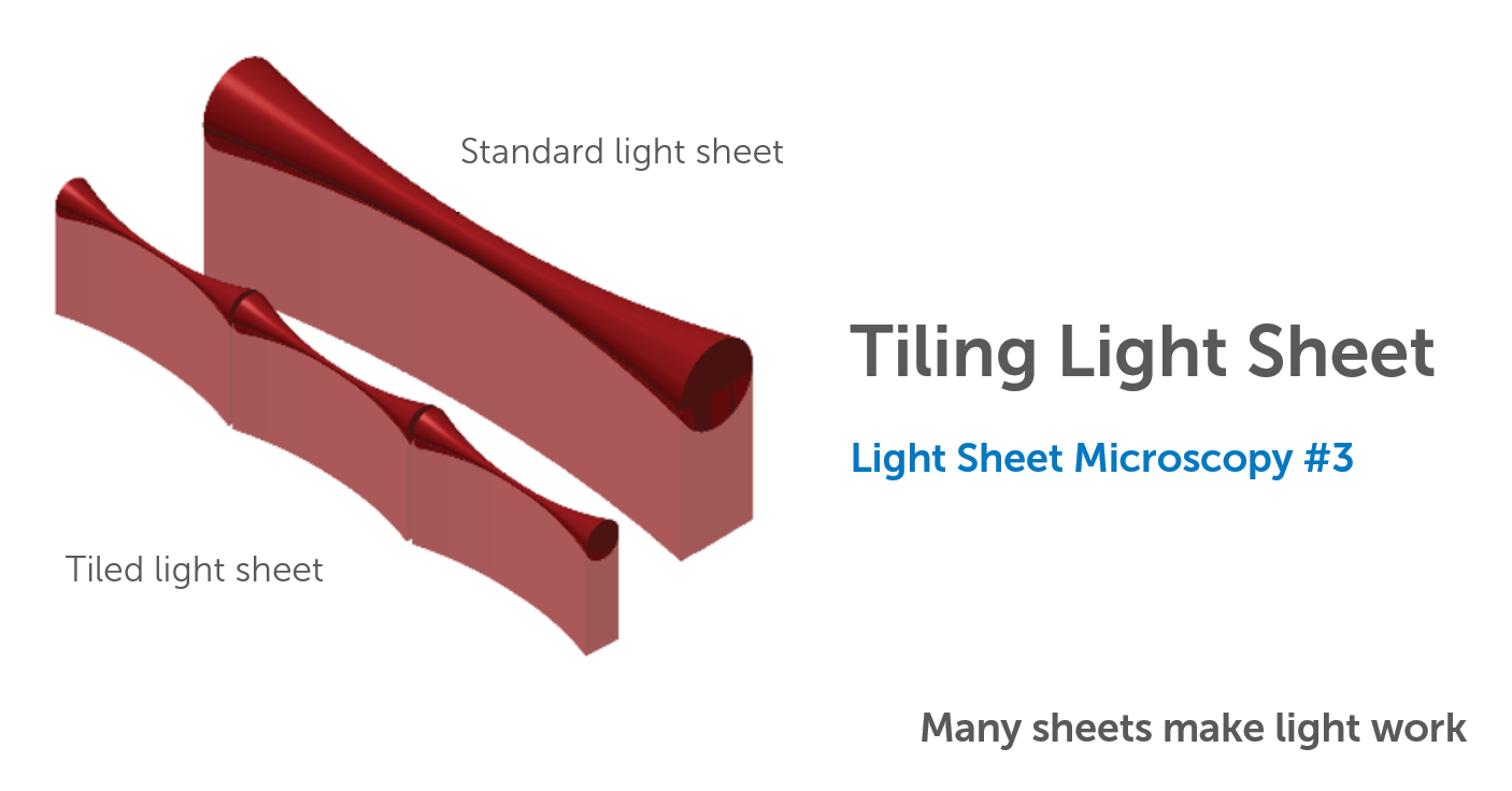 Light Sheet Microscopy Advantages Shelly Lighting